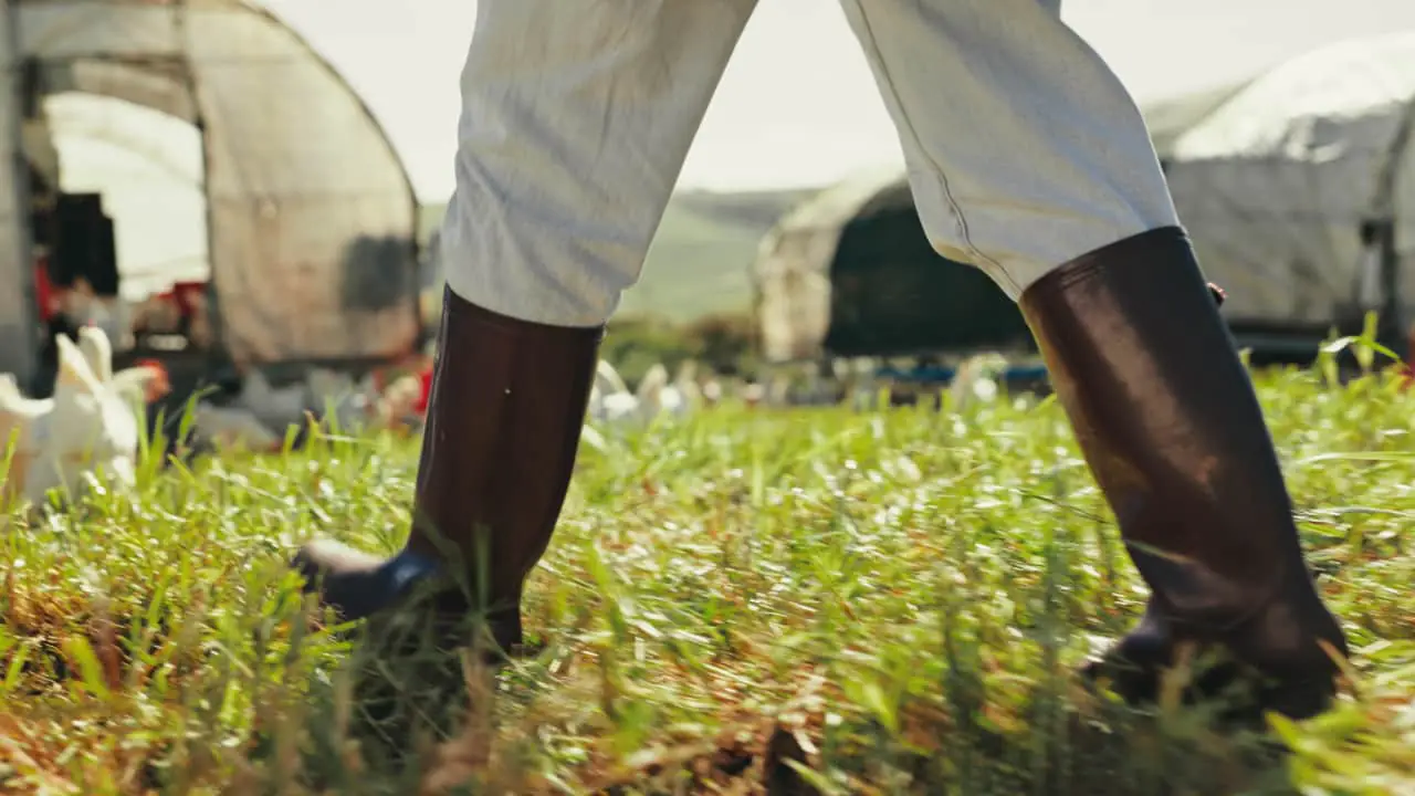 Feiras do agro movimentam abril em diferentes estados; veja quais são 3 Feiras do agro