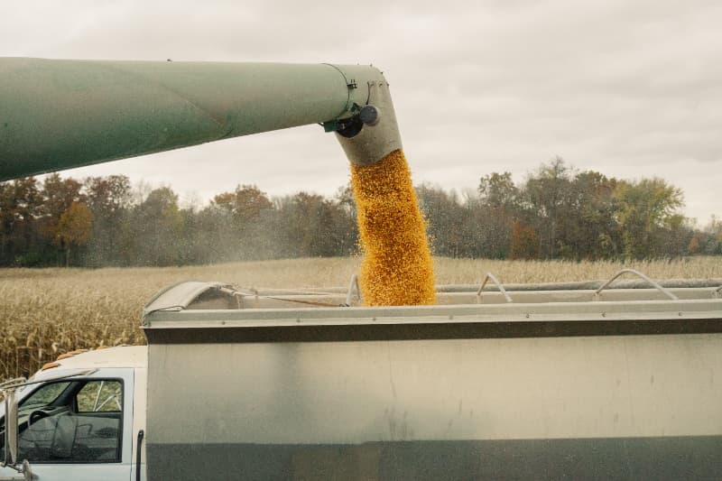 Furto de caminhão de soja