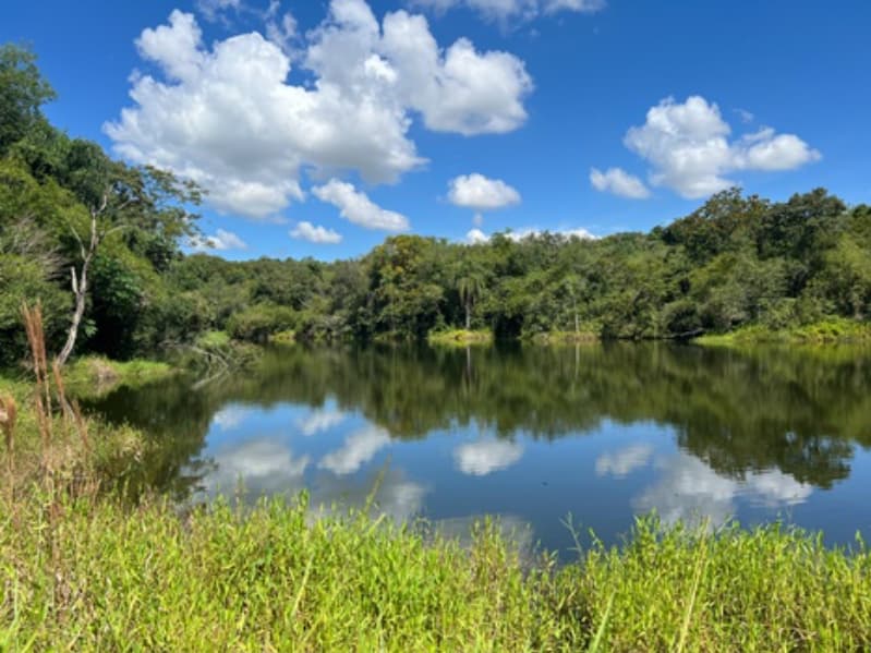 Lagoa na área de amortecimento da Rebio das Perobas onde o Hydrometra foi encontrado