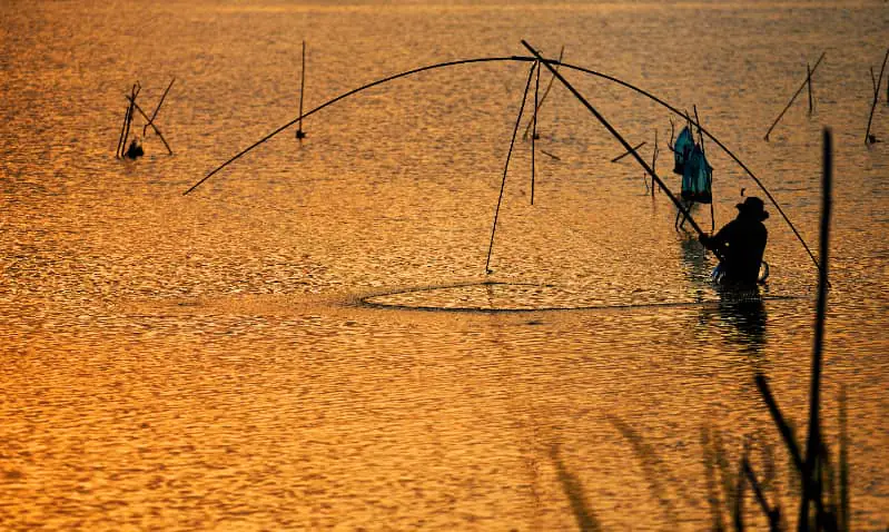 Pesca irregular