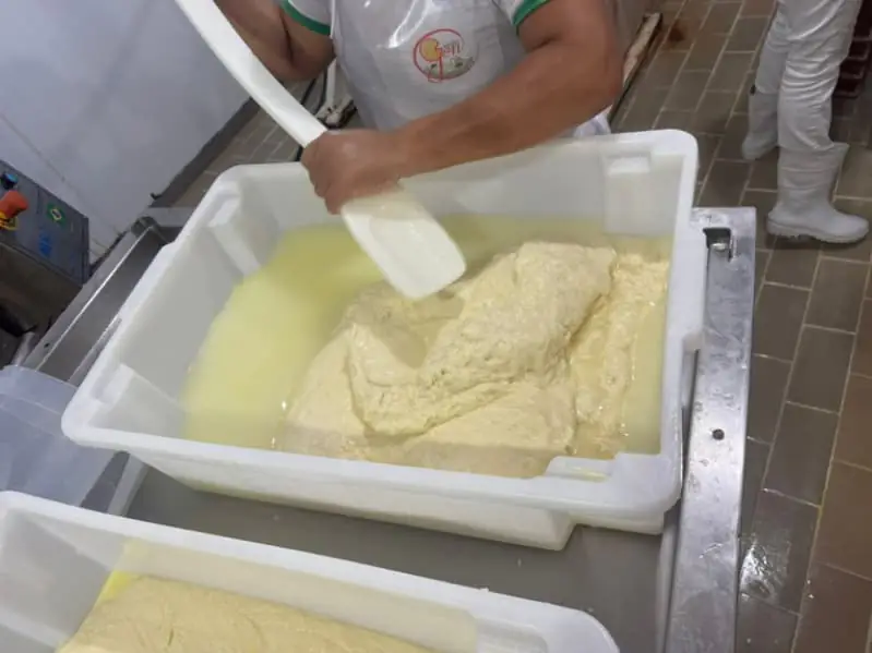 Produção de queijos