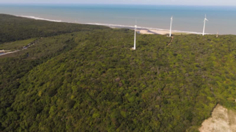 Recuperação ambiental