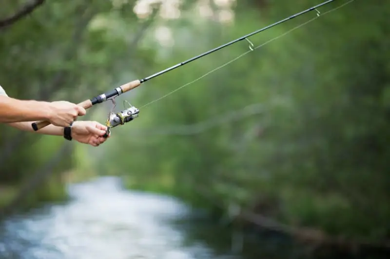 Temporada de pesca esportiva