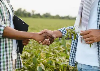Acordo comercial entra em fase inicial; veja como ficam as regras para produtores