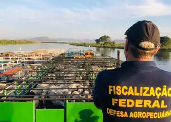 Adicional de fronteira é ampliado para servidores da fiscalização agropecuária em nova lei 8 Adicional de fronteira é ampliado para servidores da fiscalização agropecuária em nova lei