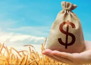 Agricultura familiar e crédito rural passam por ampliação no país