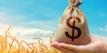 Agricultura familiar e crédito rural passam por ampliação no país