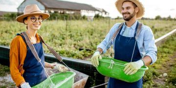 Agropecuária gera 8.123 empregos formais em fevereiro, mostram dados do Caged