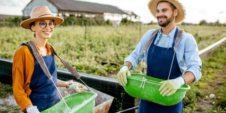 Agropecuária gera mais de 8 mil empregos formais em fevereiro, mostram dados do Caged 1 Agropecuária gera 8.123 empregos formais em fevereiro, mostram dados do Caged
