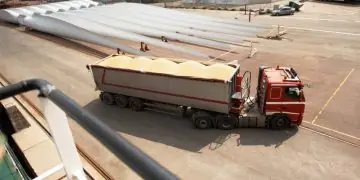 Alta no custo de transporte de grãos impacta custos da produção em MT