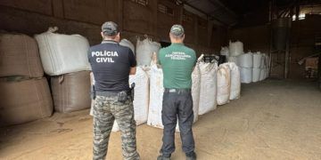 Apreensão de sementes irregulares ultrapassa 1,4 mil toneladas no Rio Grande do Sul