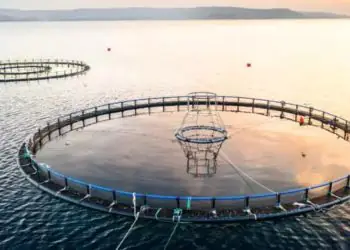 Aprovação de projeto avança e reforça segurança jurídica na aquicultura no país