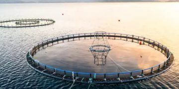 Aprovação de projeto avança e reforça segurança jurídica na aquicultura no país