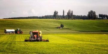 Avanço no crédito, acesso à terra e apoio à produção marca nova fase da agricultura familiar
