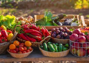 Brasil amplia acesso a mercados e fortalece exportacoes de produtos agropecuarios