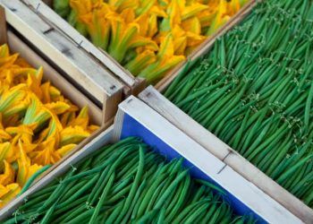 Brasil amplia exportações de produtos agropecuários e abre novos mercados internacionais