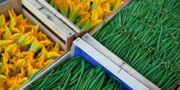 Brasil amplia exportações de produtos agropecuários e abre novos mercados internacionais