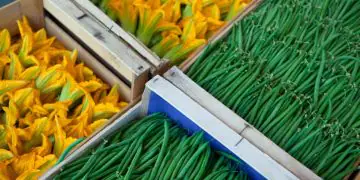 Brasil amplia exportações de produtos agropecuários e abre novos mercados internacionais