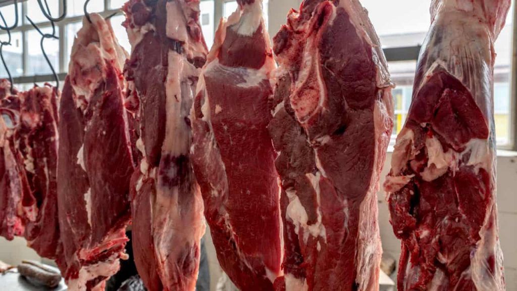 Brasil conquista abertura de mercado na Etiópia para carnes e amplia exportações do agro