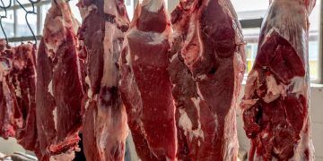 Brasil conquista abertura de mercado na Etiópia para carnes e amplia exportações do agro