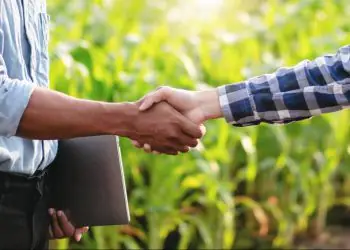 Brasil e África do Sul ampliam cooperação agropecuária com foco em sanidade e comércioBrasil e África do Sul ampliam cooperação agropecuária com foco em sanidade e comércio