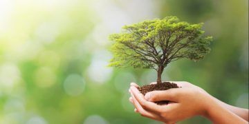 Brasil lança plano para orientar uso sustentável dos recursos naturais e ampliar bioeconomia