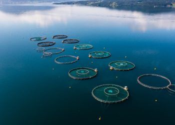 CNA pede suspensao da obrigatoriedade do RGP para aquicultores