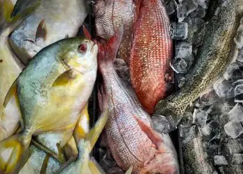 CNA solicita suspensão de pescado do Vietnã e mantém alerta sanitário sobre o Equador