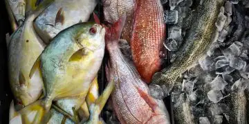 CNA solicita suspensão de pescado do Vietnã e mantém alerta sanitário sobre o Equador