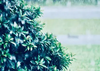 Chuvas intensas devem atingir várias regiões do país ao longo da semana, aponta Inmet