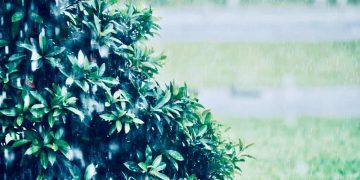 Chuvas intensas devem atingir várias regiões do país ao longo da semana, aponta Inmet