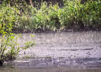 Chuvas intensas marcam a semana em várias regiões do país