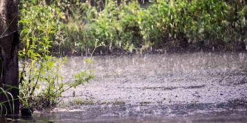 Chuvas intensas marcam a semana em várias regiões do país