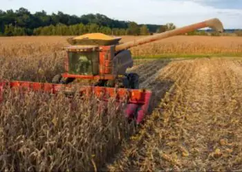 Clima mais seco ameaça desenvolvimento da segunda safra em Goiás e Minas