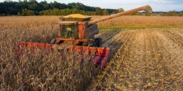 Clima mais seco ameaça desenvolvimento da segunda safra em Goiás e Minas