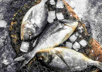 Consumo de peixe cresce na Páscoa e exige atenção na hora da compra; confira as dicas