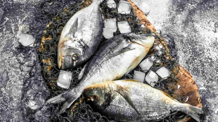 Consumo de peixe cresce na Pascoa e exige atencao na hora da compra confira as dicas