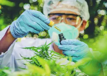 Criação do Sistema Nacional de Certificação Fitossanitária moderniza controle no agro 6 Criação do Sistema Nacional de Certificação Fitossanitária moderniza controle no agro