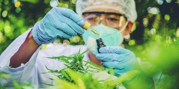 Criação do Sistema Nacional de Certificação Fitossanitária moderniza controle no agro