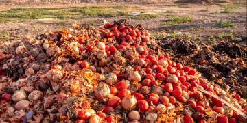 Desperdício de alimentos pode gerar prejuízo global de US$ 540 bilhões em 2026