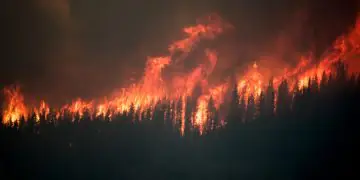 Edital seleciona projetos de manejo de fogo para proteção da biodiversidade em Goiás