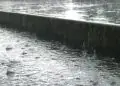 El Niño pode voltar em 2026 e aumentar risco de chuva no Sul do Brasil