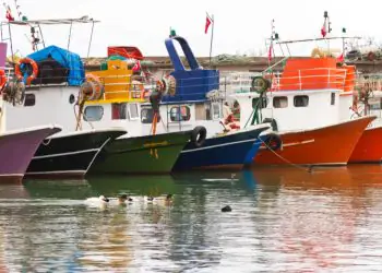 Embarcações pesqueiras têm prazos definidos para adequação sanitária; confira