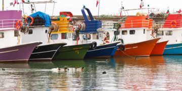 Embarcações pesqueiras têm prazos definidos para adequação sanitária; confira