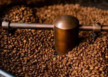 Exportações de café do Brasil recuam cerca de 8% em março