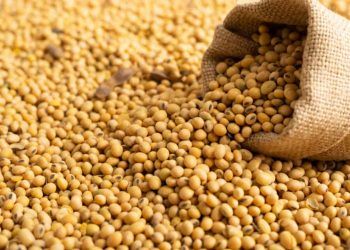 Exportacoes de soja impulsionam alta dos fretes em meio a chuvas e pressao logistica