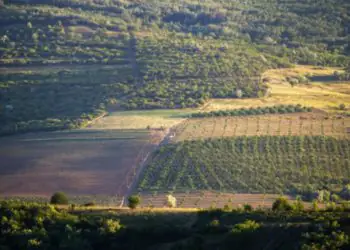 Famato alerta produtores para efeitos do Prodes no crédito rural