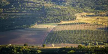 Famato alerta produtores para efeitos do Prodes no crédito rural