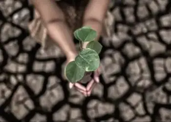 Frente Ambientalista lança plano para guiar agenda do Congresso e pauta climática