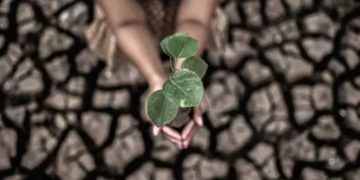 Frente Ambientalista lança plano para guiar agenda do Congresso e pauta climática